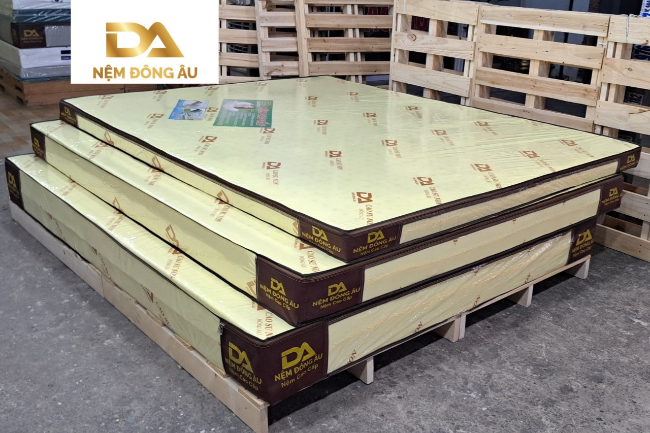 Nệm Cao Su Non Đông Âu 100cm x 200cm x 10cm