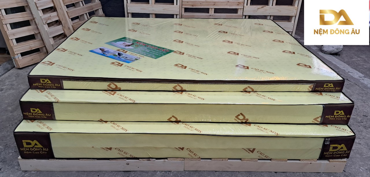 Nệm Cao Su Non Đông Âu 120cm x 200cm x 20cm