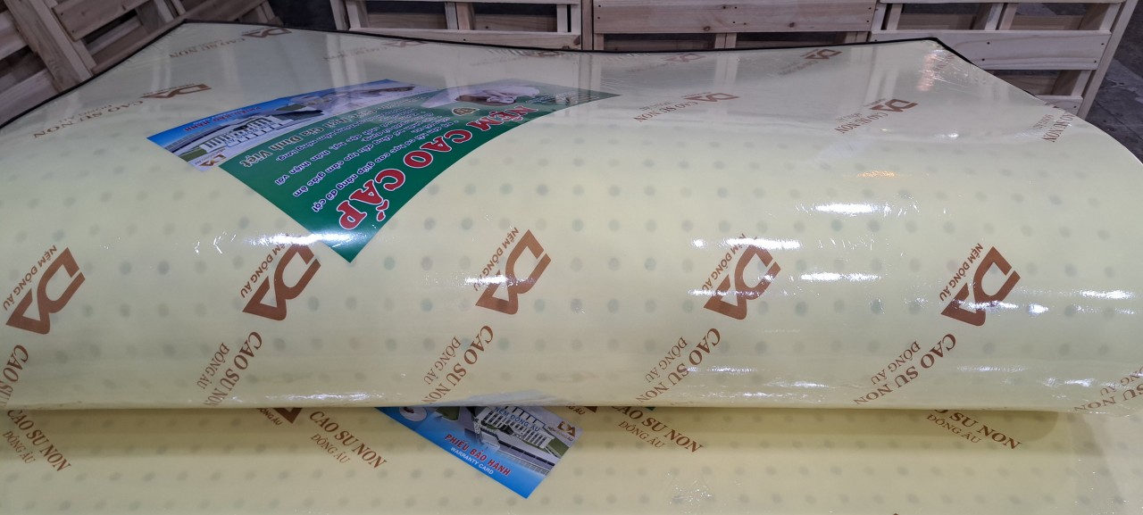Nệm Cao Su Non Đông Âu 120cm x 200cm x 15cm