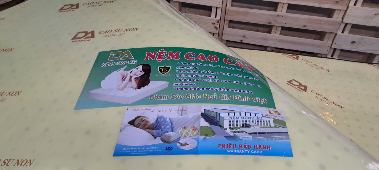 Nệm Cao Su Non Đông Âu 100cm x 200cm x 20cm