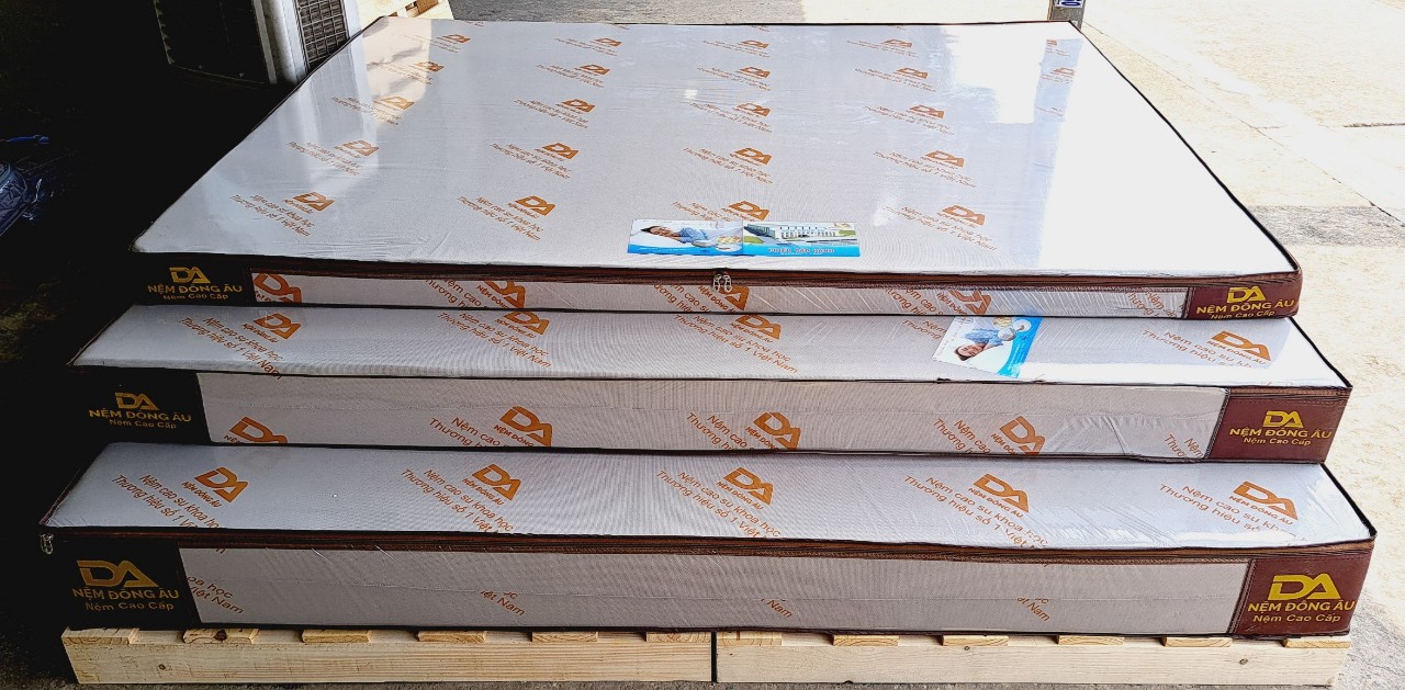 Nệm Cao Su Khoa Học Đông Âu 160cm x 200cm x 20cm