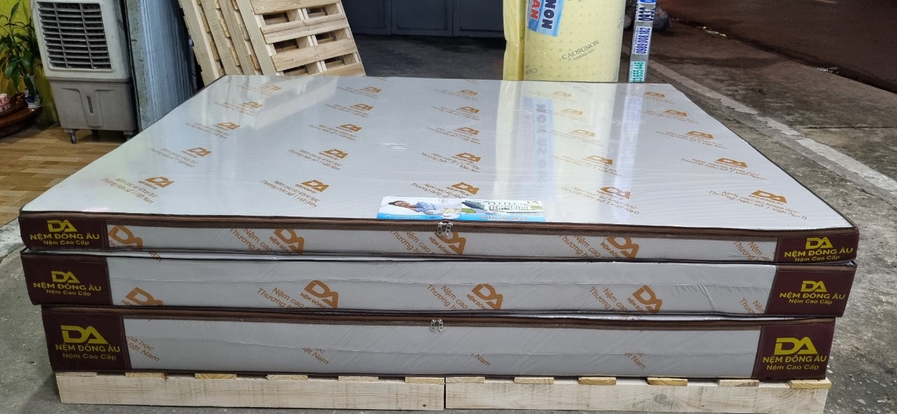 Nệm Cao Su Khoa Học Đông Âu 140cm x 200cm x 20cm