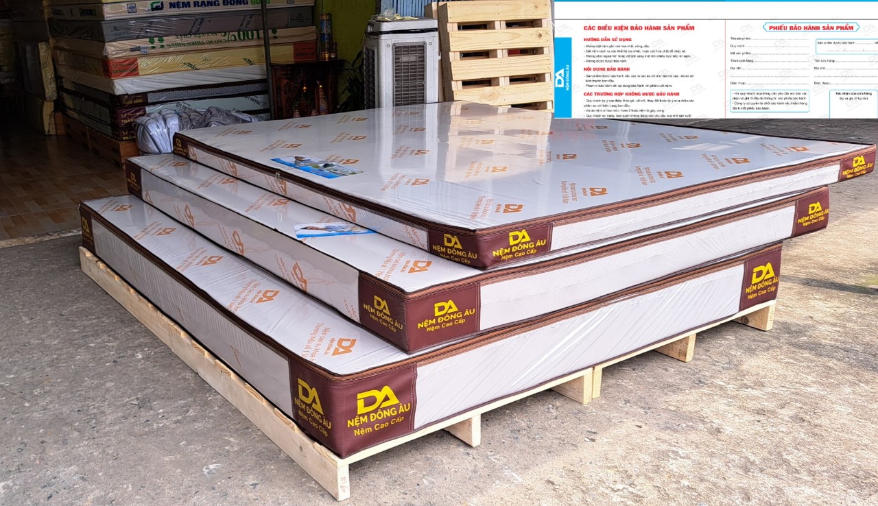 Nệm Cao Su Khoa Học Đông Âu 100cm x 200cm x 20cm