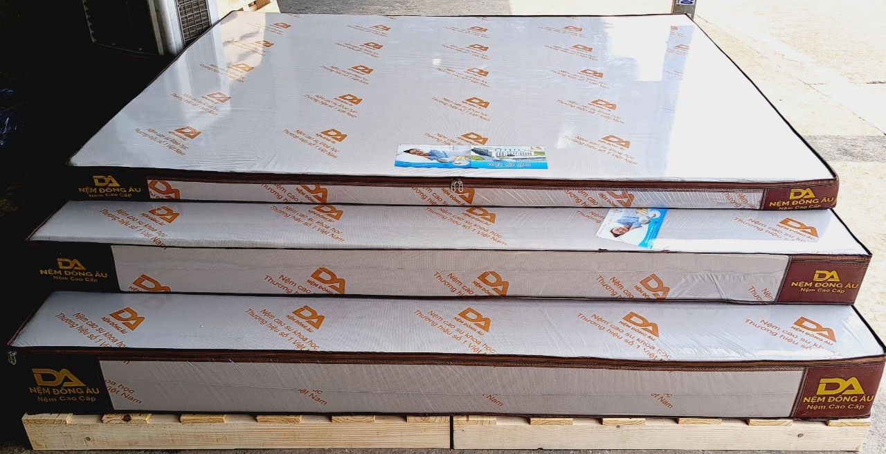 Nệm Cao Su Khoa Học Đông Âu 100cm x 200cm x 10cm