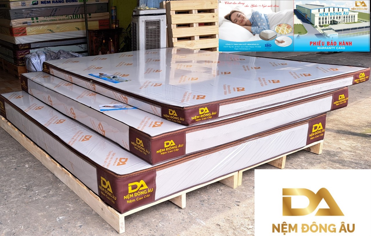 Nệm Cao Su Khoa Học Đông Âu 120cm x 200cm x 10cm